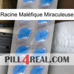 Racine Maléfique Miraculeuse 22